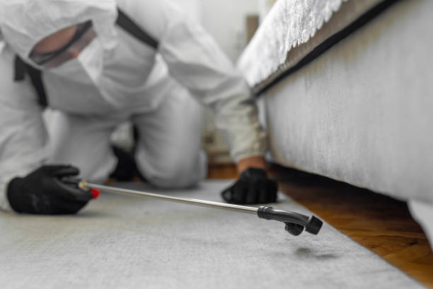 Professional Termite Control technician working in Wildwood, MO